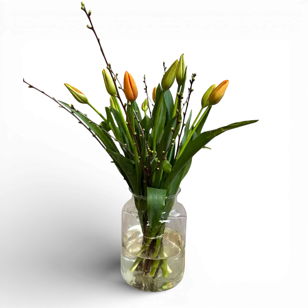 Fransen tulpen combi