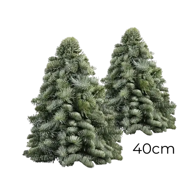 2x Nobillis kerstboom 40CM