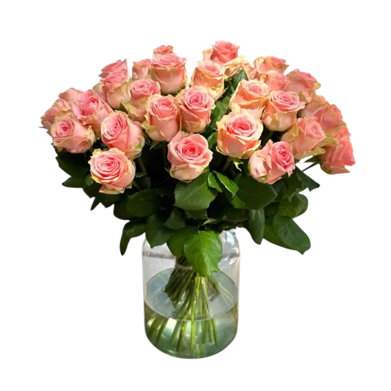Roze rozen