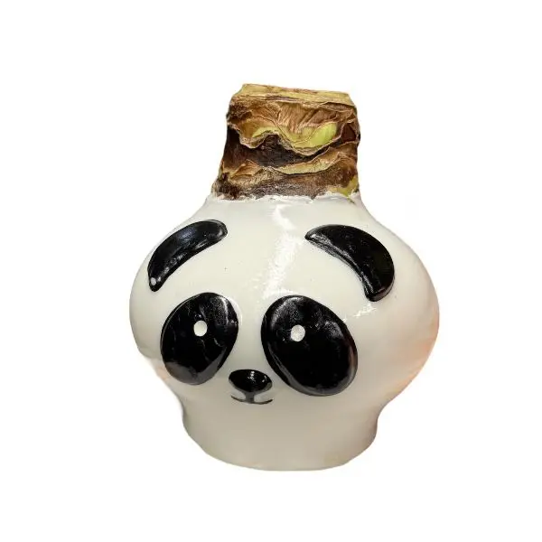 Wax amaryllis Panda