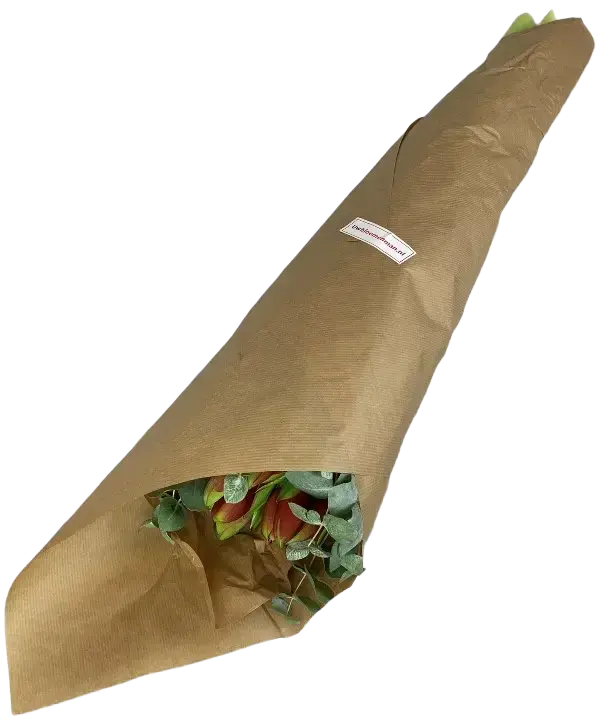 Amaryllis Combi Deal!