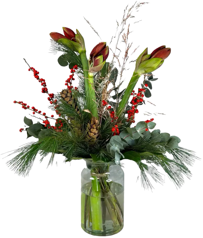 photoroom_20231121_205043