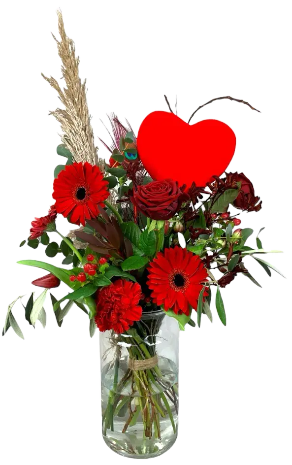 photoroom_20240207_134740