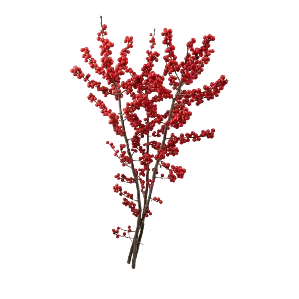 Ilex takken 50–60 cm met rode besjes – winterse decoratie | uwbloemenman.nl