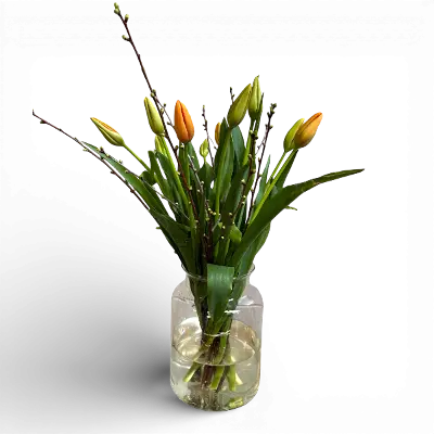 Fransen tulpen combi