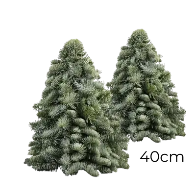 2x Nobillis kerstboom 40CM