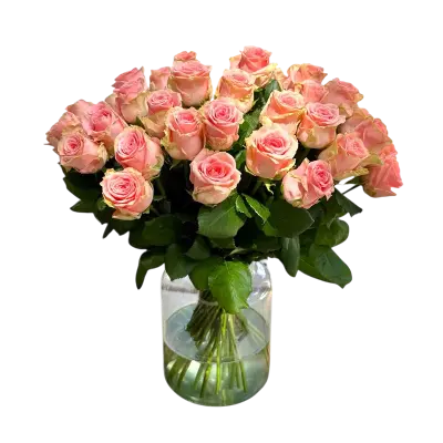 Roze rozen