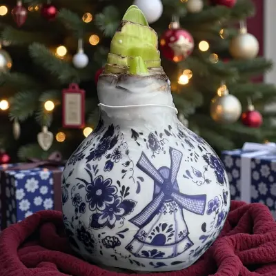 Wax amaryllis Delftsblauw