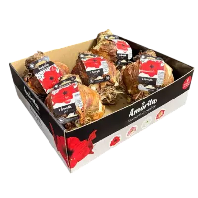 Amaryllis bol combi!