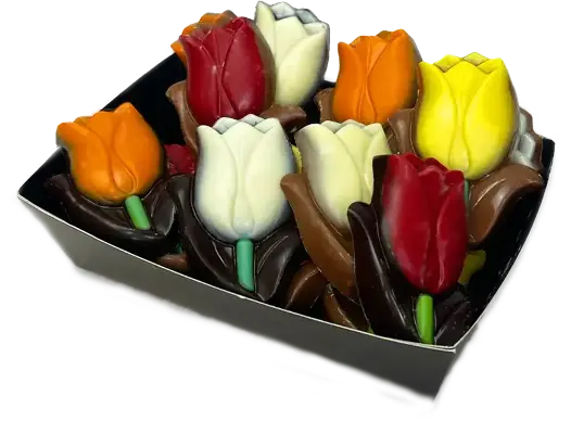 Chocolade Tulpen