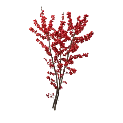Ilex takken 50–60 cm met rode besjes – winterse decoratie | uwbloemenman.nl