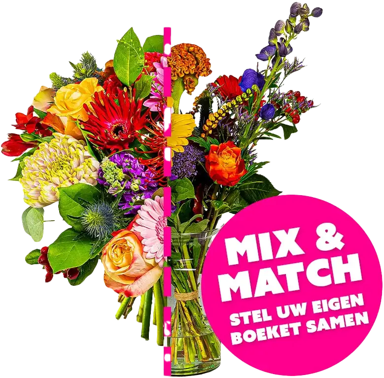 UWB – Mix EN Match2