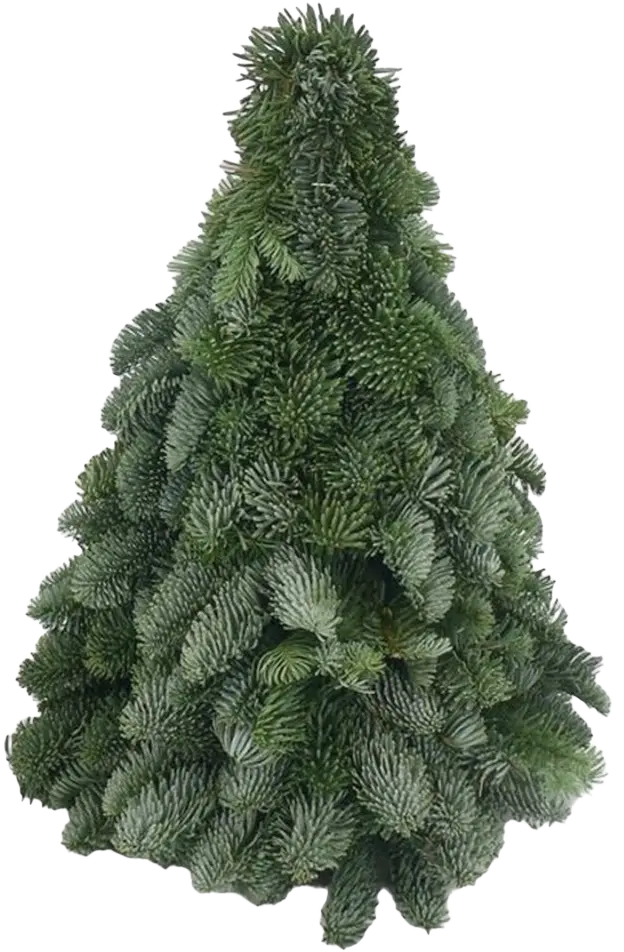 photoroom_20231123_174321