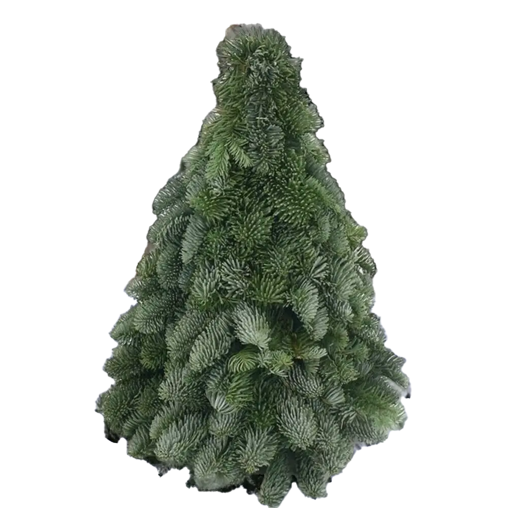 photoroom_20231123_174343