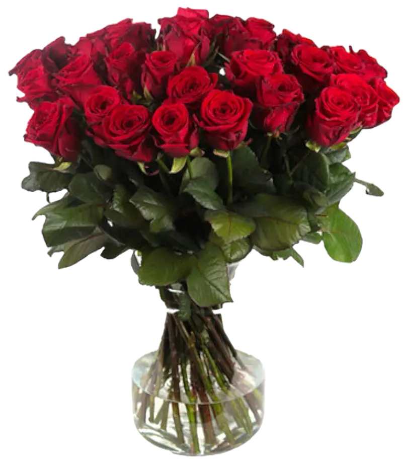 photoroom_20240207_132729