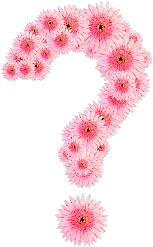vraagteken roze