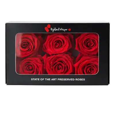 Luxe Rode Kunst Rozen in Zwarte Giftbox | Tijdloos & Elegant