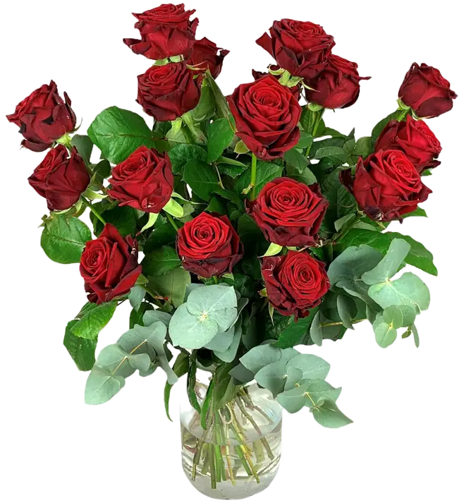 valentijn2