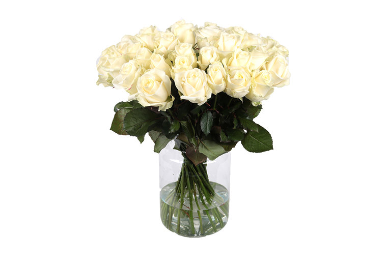 een vergoeding West Oswald 100 witte rozen met gratis vaas | Avalanche rozen | Uwbloemenman.nl