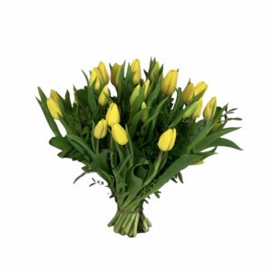 Gele tulpen | Boeket Sunny | Uwbloemenman,nl
